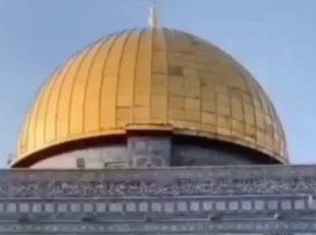 استوری | مسئله فلسطین یک مسئله صرفاً اسلامی نیست