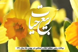 موشن کلیپ | ربیع حیات